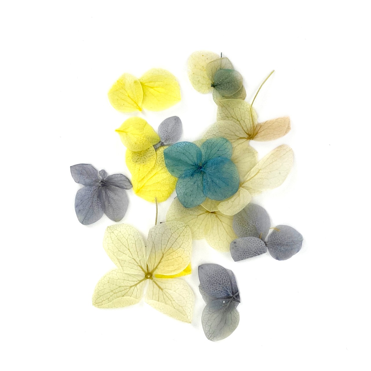 JUSTNAILS Trockenblumen Dry Flowers Set