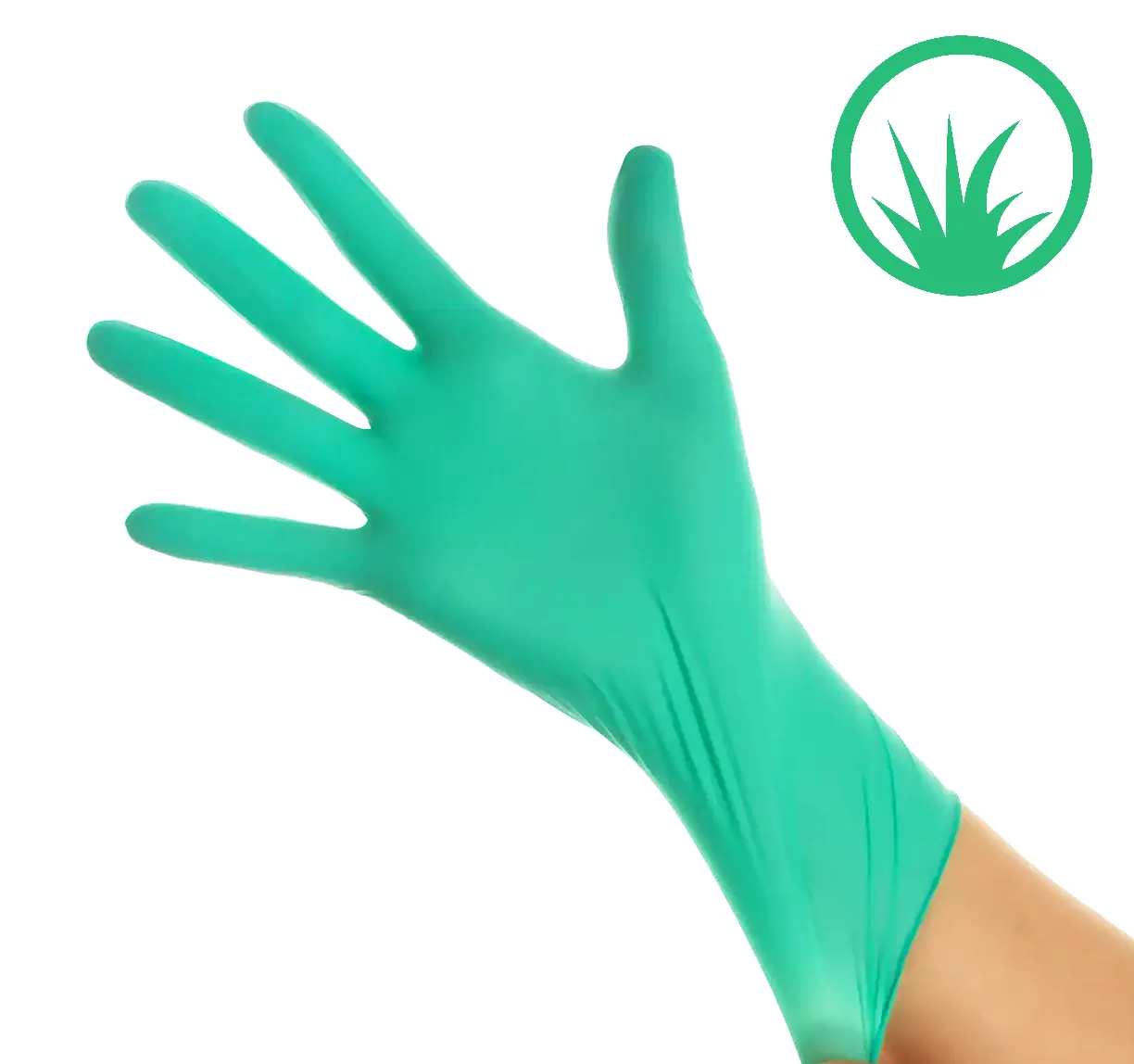 QUANTUS Allergiker Nitril + Aloe Vera Handschuhe Puderfrei grün 100 Stück